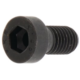 Allen screw with nut m10x20 fendt x493612905000