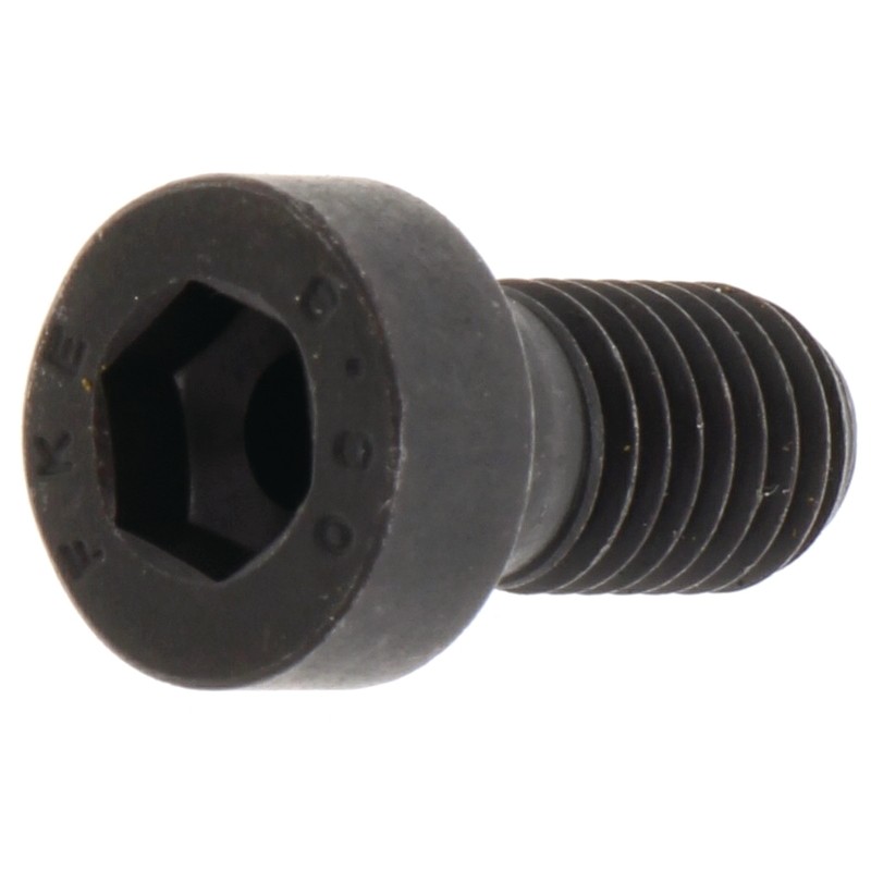 Allen screw with nut m10x20 fendt x493612905000