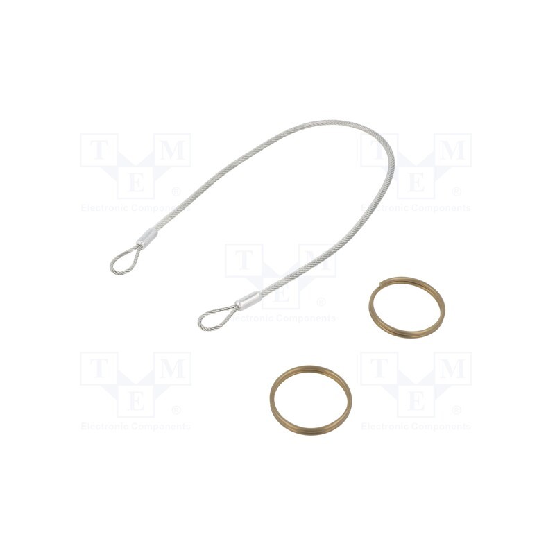 1 pcs x ELESA+GANTER - GN 111.2-320-30-A-TR - Retaining cable, Plating: PVC, stainless steel, 320mm