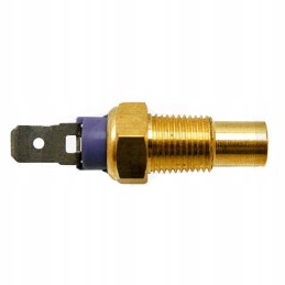 Ford Temperature Sensor 87554838