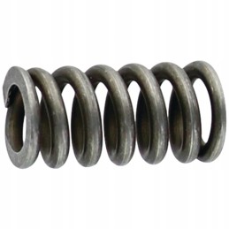 Fork spring 15406618 granite