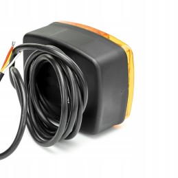 LED rear combination lamp