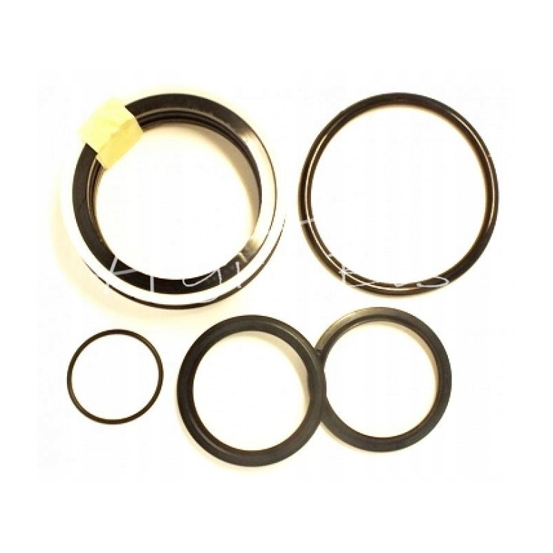 Cyclops rotation support seal set