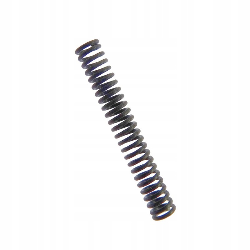 Distributor spring C 360 Archimedes