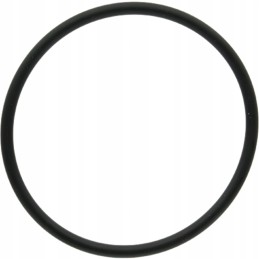 Oring 159000 3019927x1 dana spicer