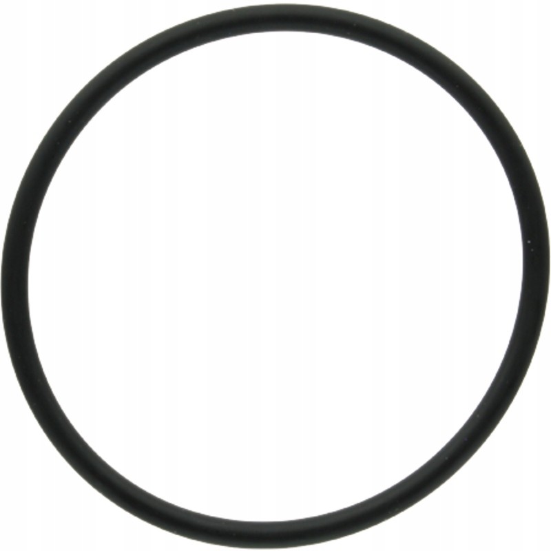 Oring 159000 3019927x1 dana spicer