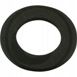 Bumper ring that absorbs the king pin