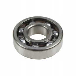 Bearing 6305 flt