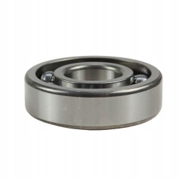 Bearing 6305 flt