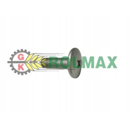 Screw M10x1 25x30mm New Holland Case 14782614