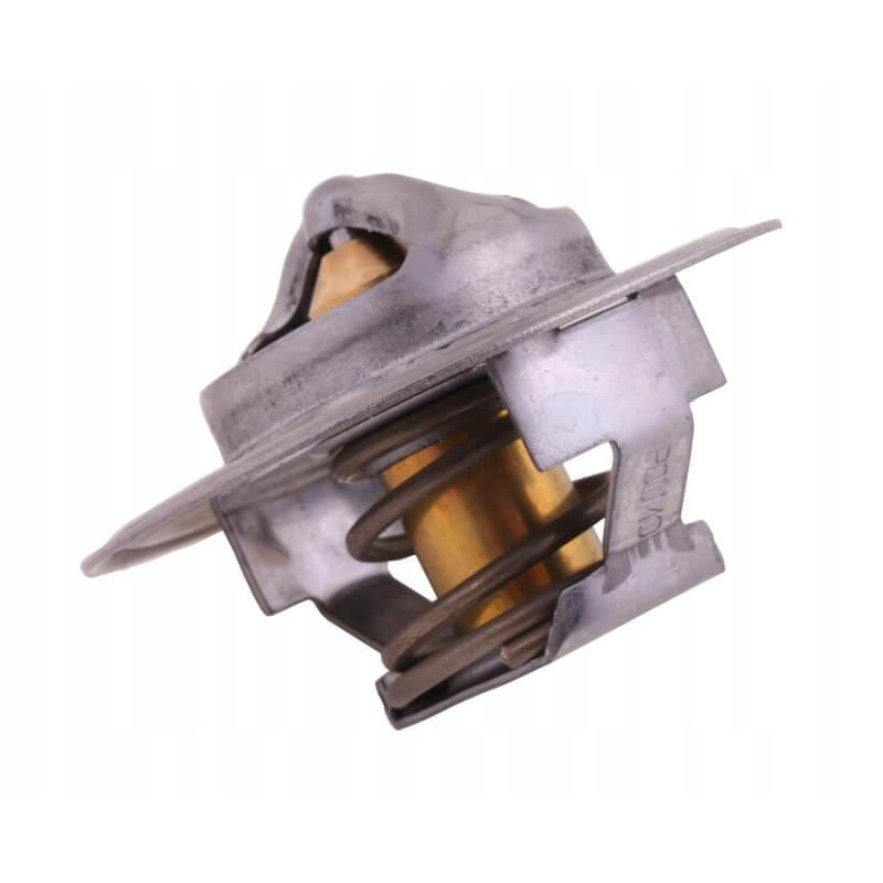 Thermostat 895311h1 landini case polmo 895311h1p