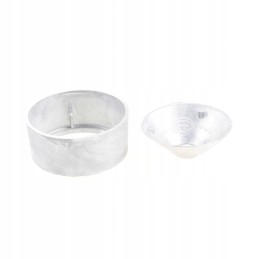 Massey Ferguson fuel filter v835339420 original