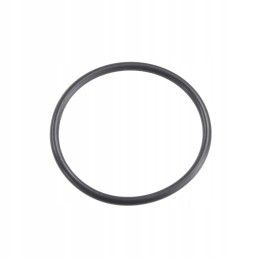 O-ring fendt x59098010000 original