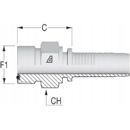 Ending dn16 1 3 16 orfs