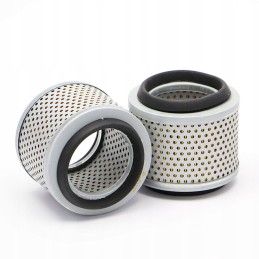 SL81047 air filter SF filter replaces SA12173