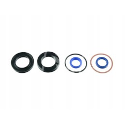 Steering assist actuator seal kit