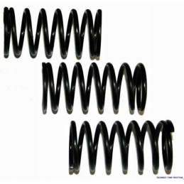 Valve spring external c 360 0050 50 508