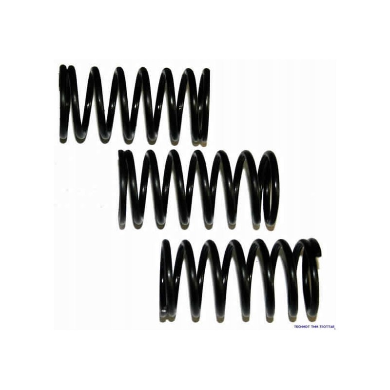 Valve spring external c 360 0050 50 508