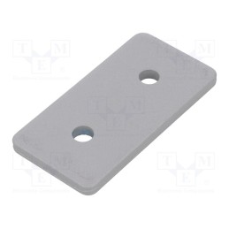 1 pcs x ELESA+GANTER - GN 967-40-80-F-2-SR -AS - Flat bar, for profiles, W: 40mm, L: 80mm, steel, Size: 40mm, silver