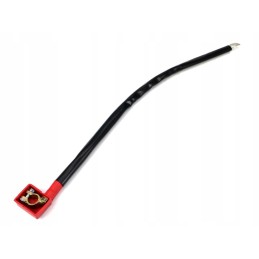 Ground cable clamp eyelet m10 dl 70 cm 50mm2 expo