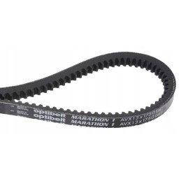Toothed V-belt AVX 13,700 mm