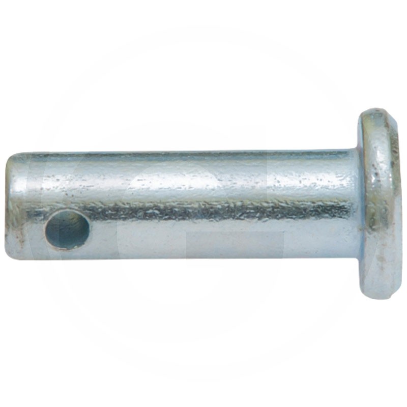 Pin for hydraulic cylinder C 385 and derivatives