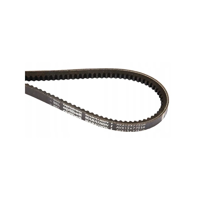 Toothed V-belt AVX 13,850 mm