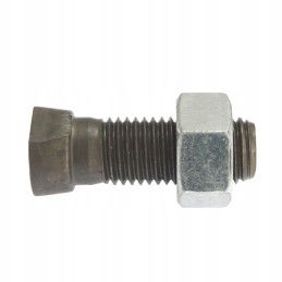 Plug screw m16 50 12 9 with nut
