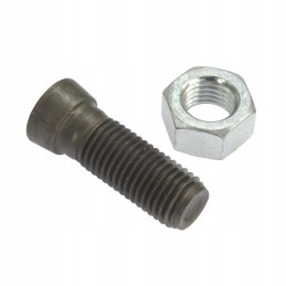 Plug screw m16 50 12 9 with nut