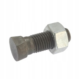 Plug screw m16 50 12 9 with nut