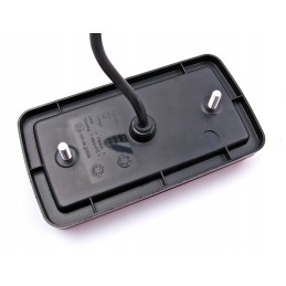 LED combination lamp, dynamic neon direction