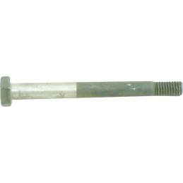 Differential gear screw fitted 50 01 342 0