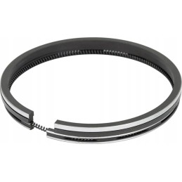 Engine piston rings 4 rings 102 mm