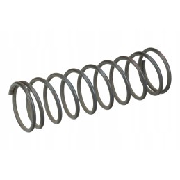 Shot blaster spring fi 30, length 120mm