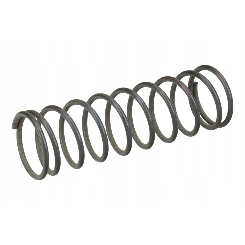 Shot blaster spring fi 30, length 120mm