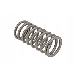 490b 03005 internal valve spring