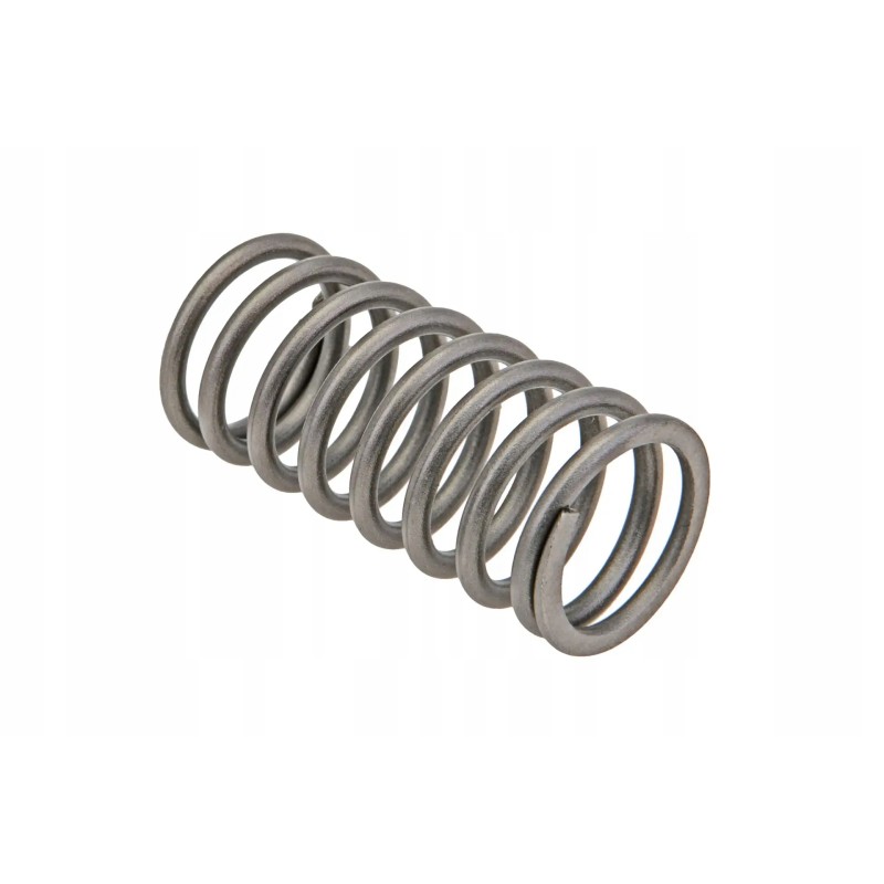 490b 03005 internal valve spring