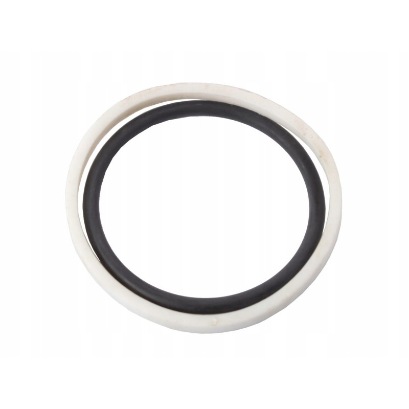 Lifter piston seal kit 1665685m91 2528