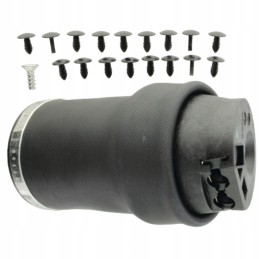 Air shock absorber complete grammer 1137352