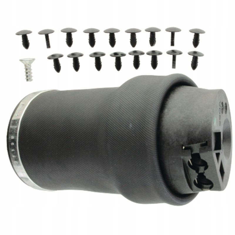 Air shock absorber complete grammer 1137352