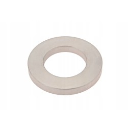 F824200210380 crankshaft washer