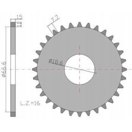 Wheel without a wedge seeder Poznań