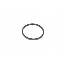 F119200050050 thermostat seal ring