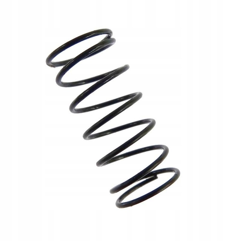 Safety valve spring c 385 archimedes u