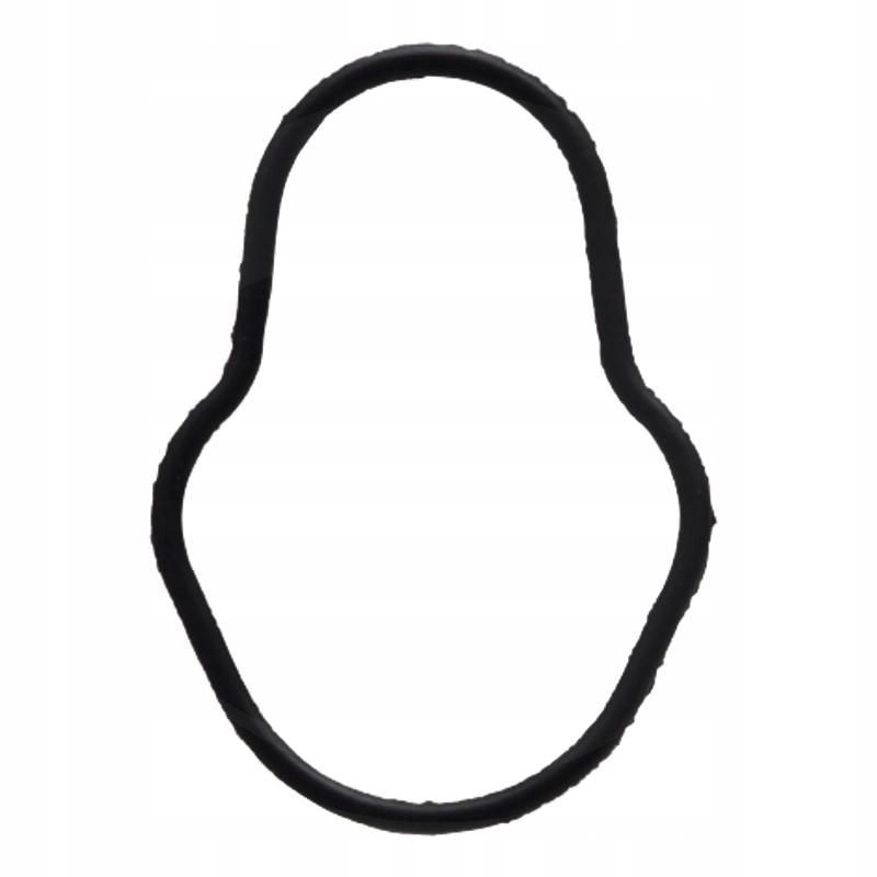 Oring case new holland 2830156