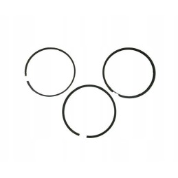 Set of engine piston rings 52110096 8900