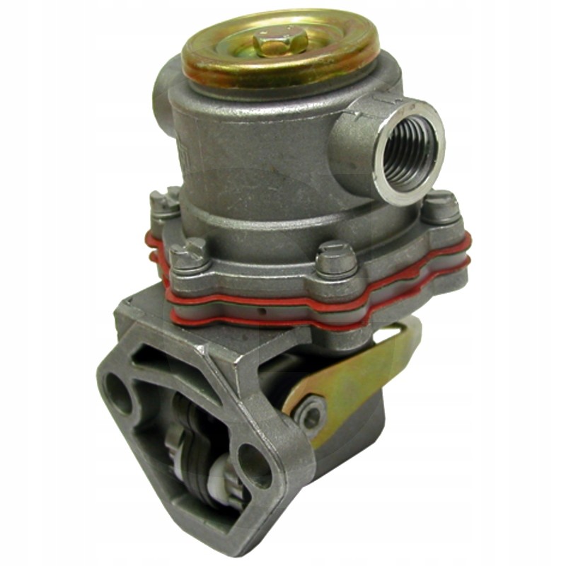 Diaphragm feed pump 38019105