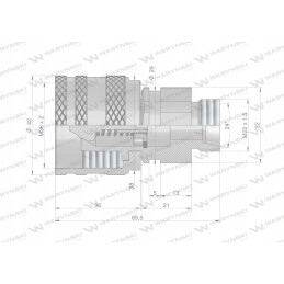 Screwed hydraulic quick connector, M22x1 plug 5