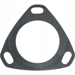 Morpak injection pump seal c 385 and derivatives