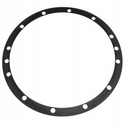 Morpak ring gear seal c 385 and derivatives